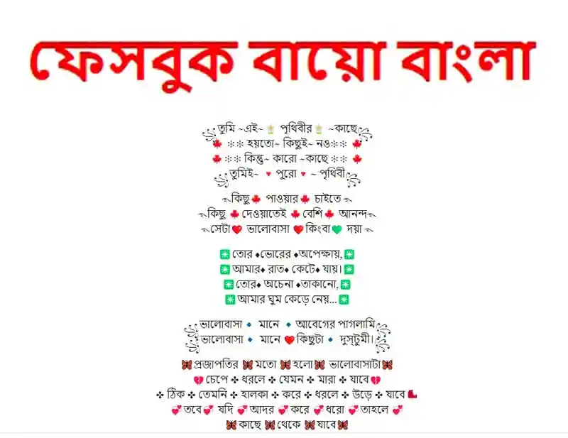 Facebook Bio Bangla
