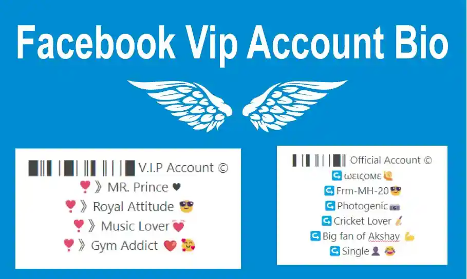 Facebook Vip Account Bio