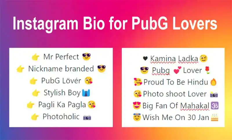 Instagram Bio for PubG Lovers