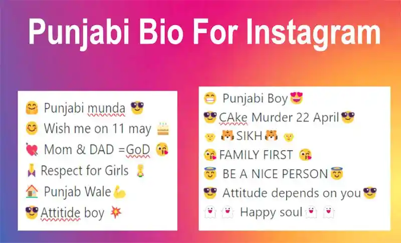 500 Punjabi Bio For Instagram Copy Paste 2023